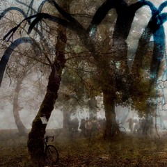 ٭٭٭la plaine aux ossements - 05/10/24٭٭٭