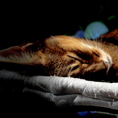 Bring Me Back To Life Remix