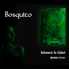 Bosquito - Intuneric In Culori (Ovidiu Remix) - Filtred For Copyright