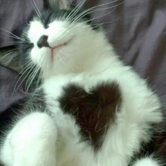 1 last chance (prod. couler)