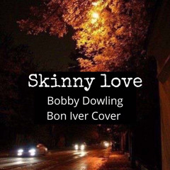 Skinny Love - Cover