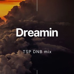 Dreamin - TSP mix DNB