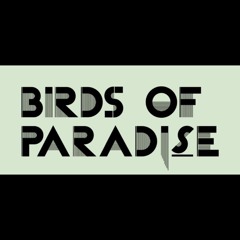 SaveRio xSETx Birds Of Paradise