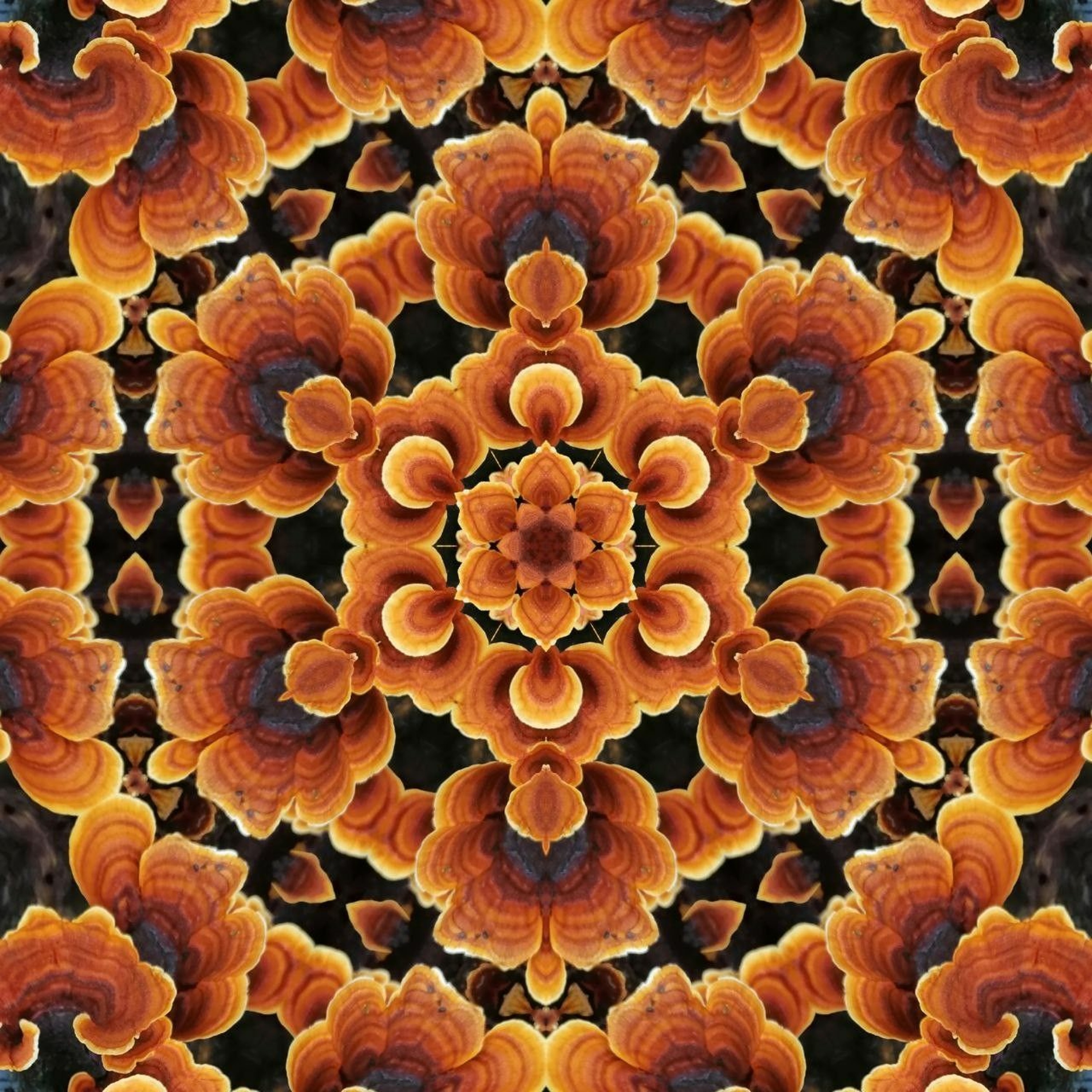 Dimensional Shift