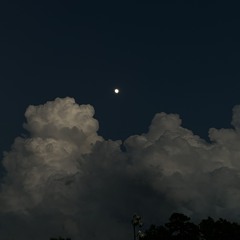 2021-2025 nostalgia - 3-EVOLVING