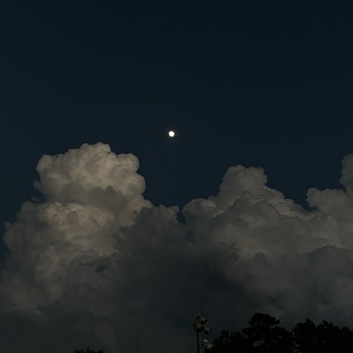 2021-2025 nostalgia - 3-EVOLVING