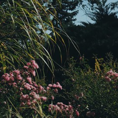 medasin - microdose vol 2.5