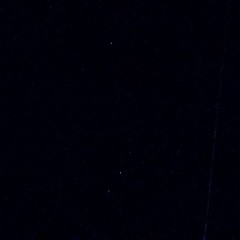 蜥蜴 - shooting star