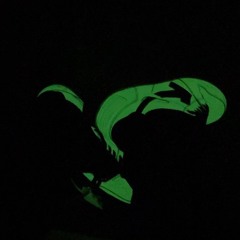 Light Show