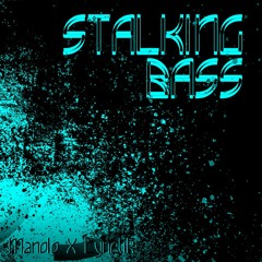 Stalking Bass - Stalking bass ( duo w/ lynetik )