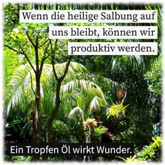 Die Schule Gottes