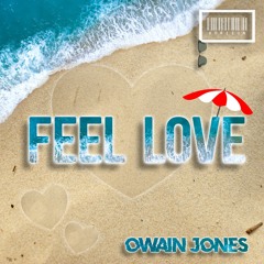 Feel Love (Owain Jones Edit) {FREE DOWNLOAD}