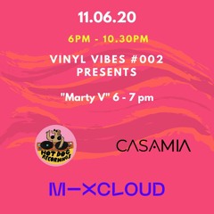 Vinyl Vibes #002 with "Marty V" @11.06.20