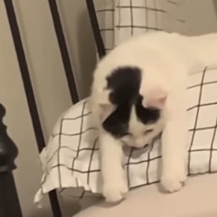 ihy
