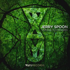Jerry Spoon - Voyage To Congro (Dan Bay Remix) [WAYU]