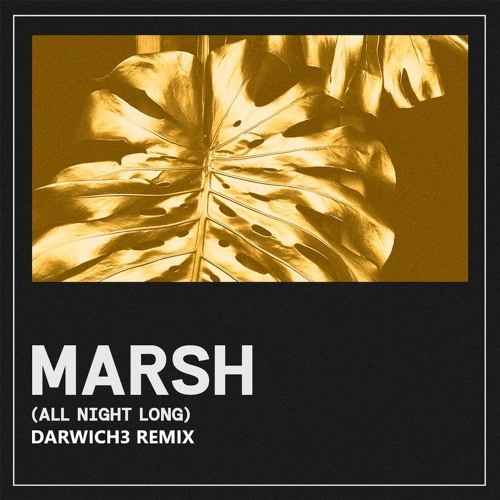 Marsh - All Night Long (Darwich3 Remix)