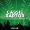 Cassie Raptor @ Verknipt Kingsday Festival | Warehouse 2 DJ mix artwork - Electronic music tracklist cover image