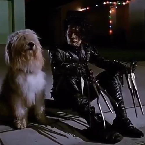 last voicemail from the angel