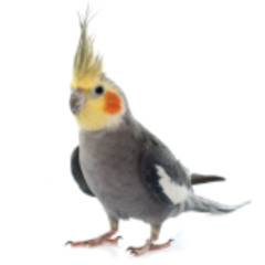 sdghhfhfhfhfhhasfhfaafh