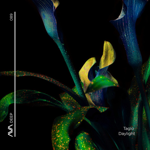 Daylight (Extended Mix)