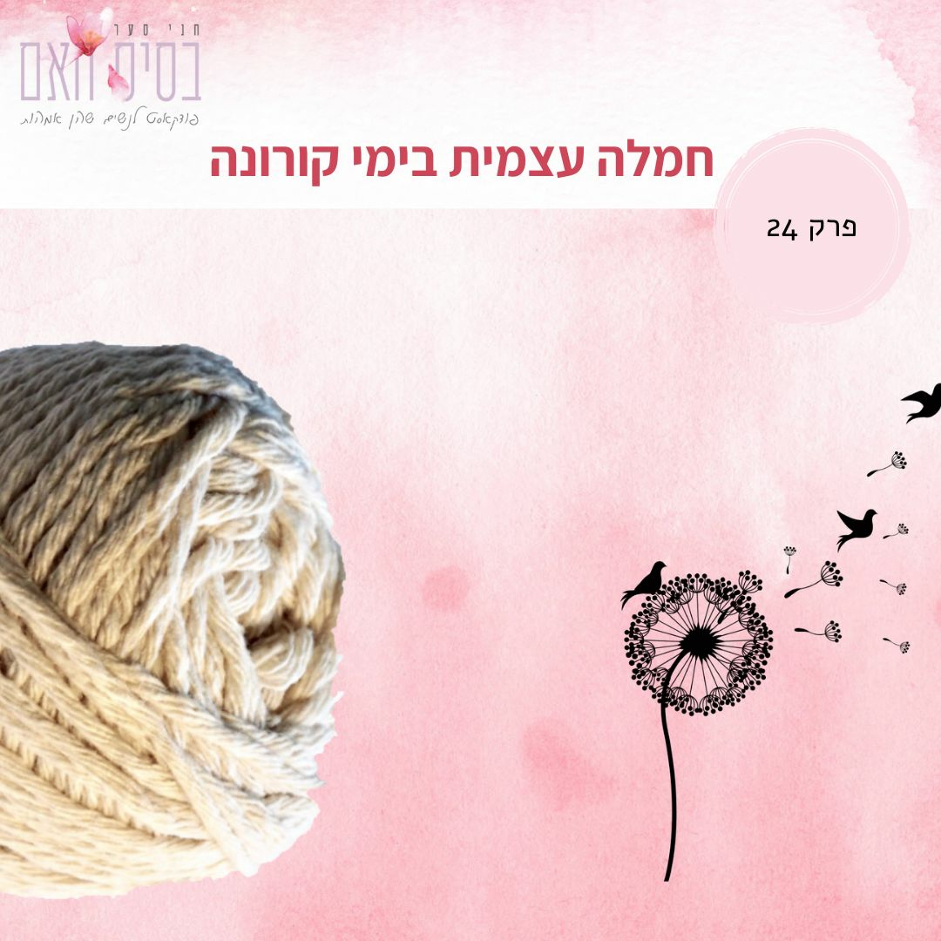 בסיס האם 24- חמלה עצמית בימי קורונה