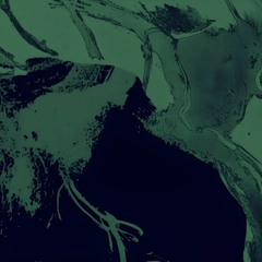 ID.V4