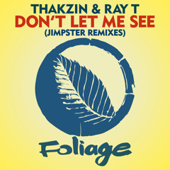 Premiere: Thakzin, Ray T - Don’t Let Me See (Jimpster Remix) [Foliage Records]