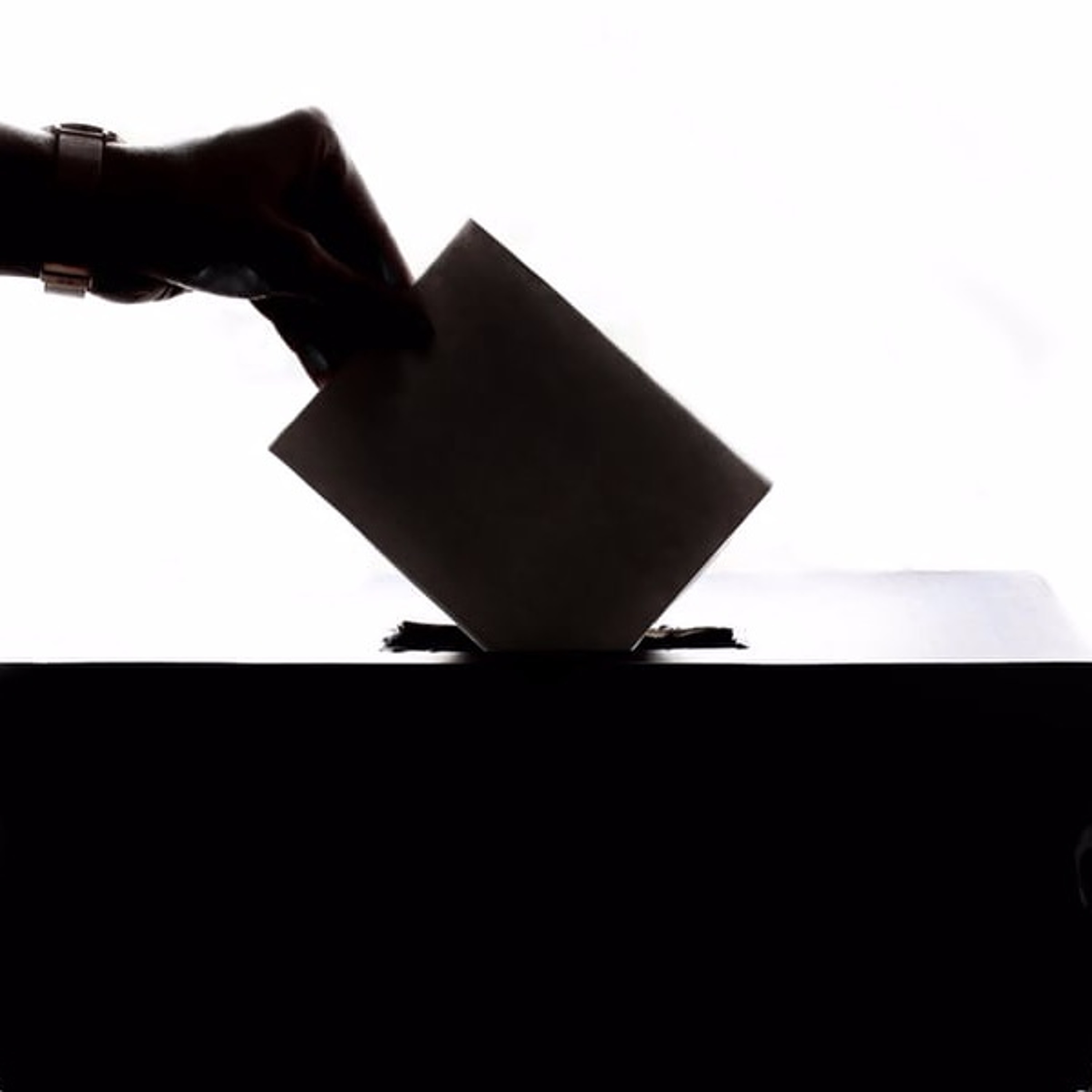 A look back at Super Tuesday: Harvard Kennedy School students discuss the 2020 primaries