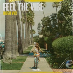 Feel The Vibe (Wern Records)