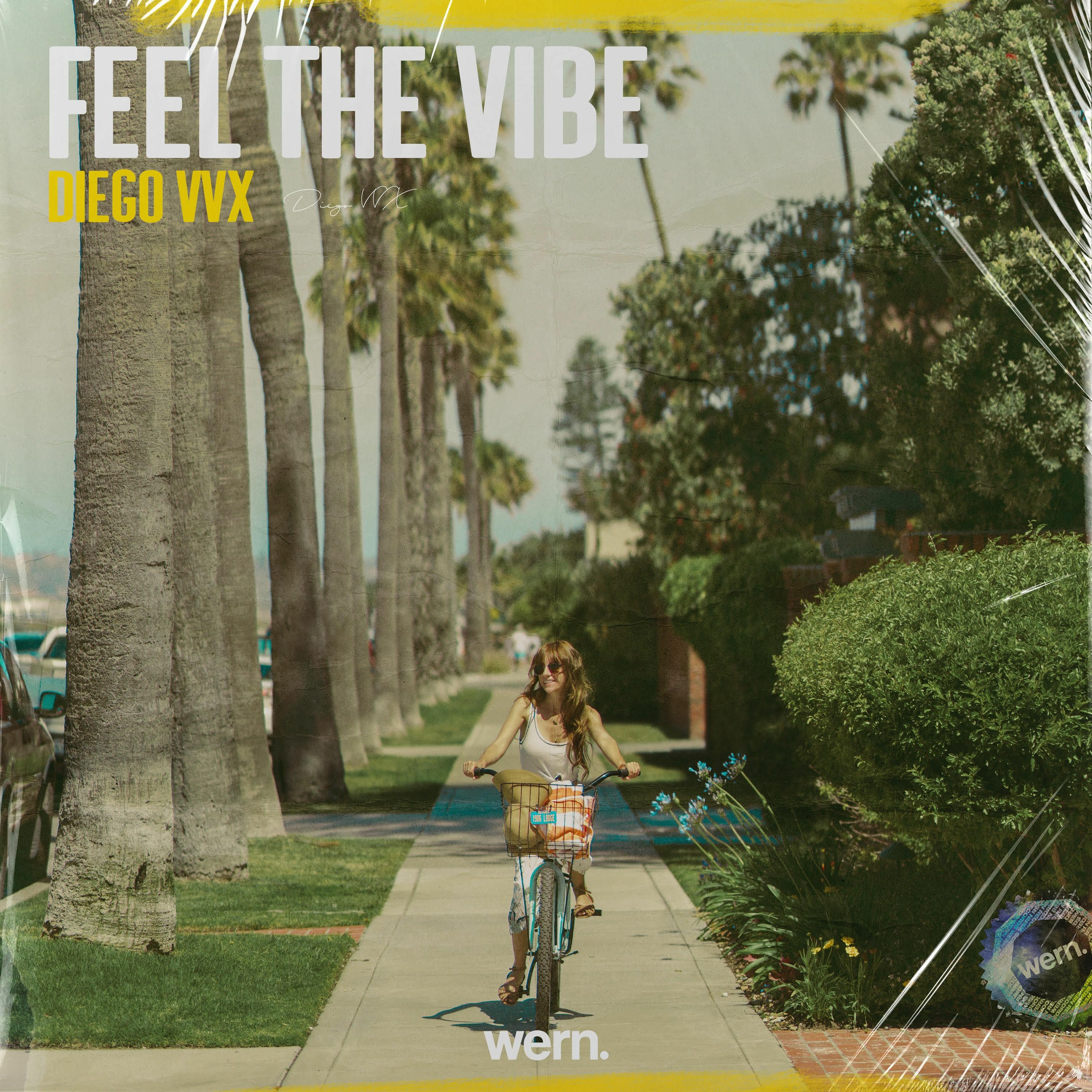 Feel The Vibe (Wern Records) episode artwork