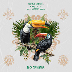 Noble Spirits - Kai (Original Mix) [Botanica]