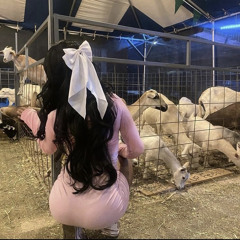 kynlary • let prod rp + brz {@jahserum exclusive}