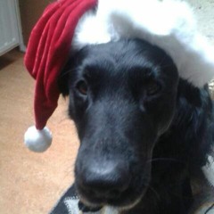 Santa claus is coming to town