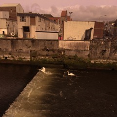 Come People of the Risen King