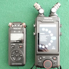 TASCAM X8 Vs TASCAM DR05x Internal MICs Test