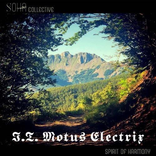 I.T. Motus Electrix - SOHA