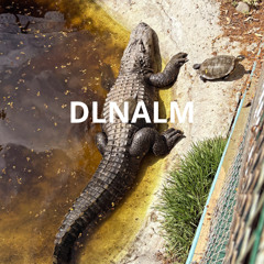 DLNALM