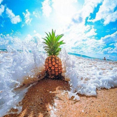 🌴Naho'rau- Tau Taina🌴
