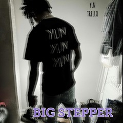 Big Stepper Ft. MeatRack863 ( Prod. Sephgotthewaves )