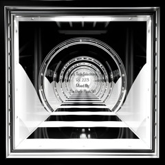Dark Tech Selections Vol. 223 [Vinyl Only Mix]