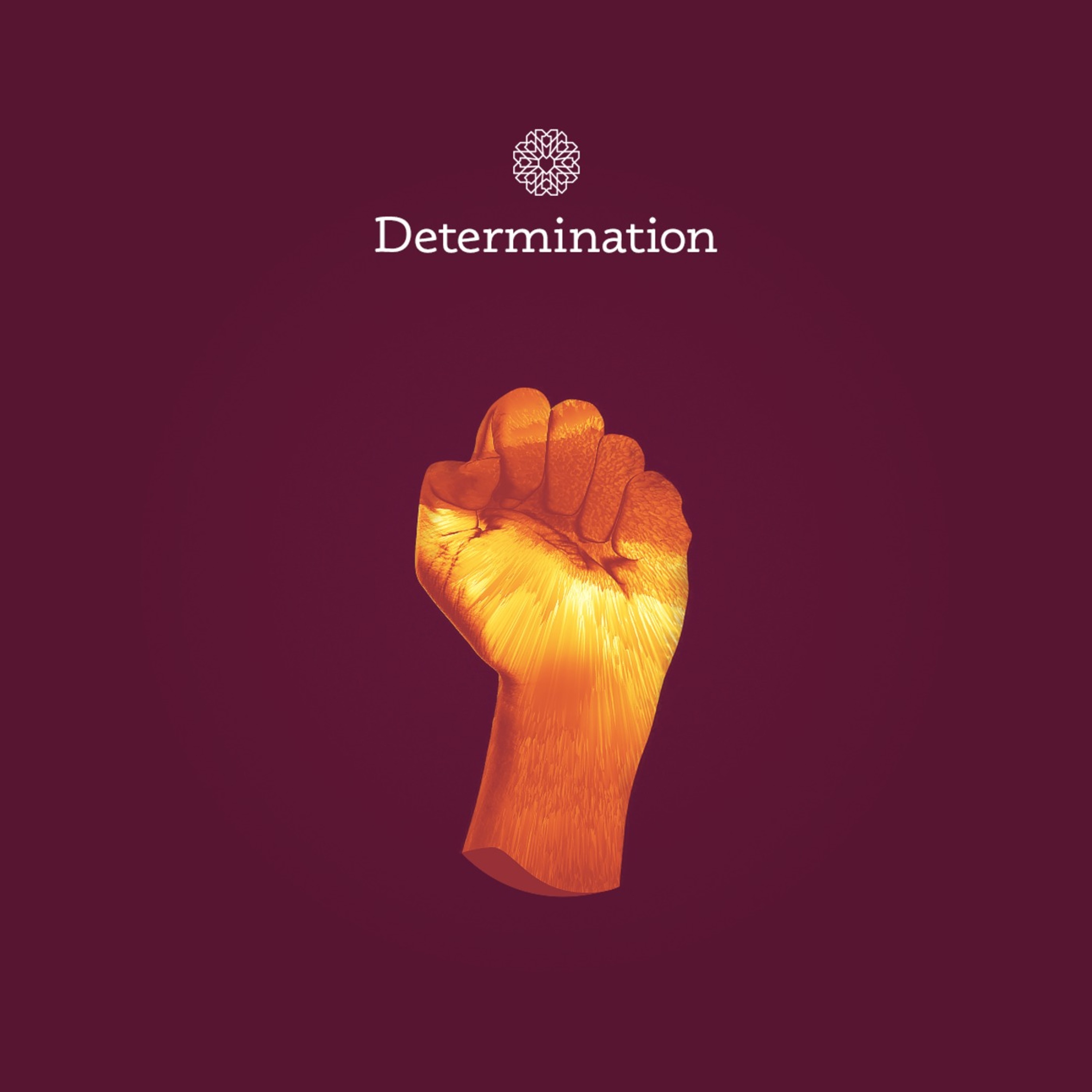 Episode 3.29 | Determination
