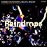 Sander Van Dorn x Selva x Macon - Raindrops (Sheriffz Remix)