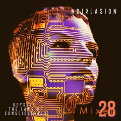 THE LAWS OF CONSCIOUSNESS
