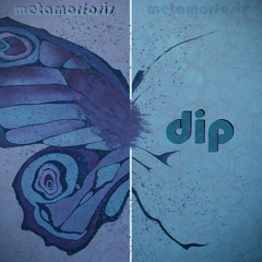 dip - metamorfosis