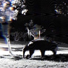 SYMPHOWEEN (SPECIAL HALLOWEEN)