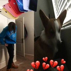 wtf am i doing (prod @1psyker)