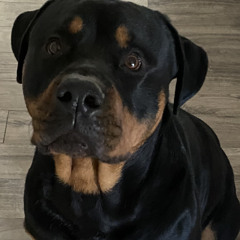 Sinabun feat. The Kid Natro (Freestyle)