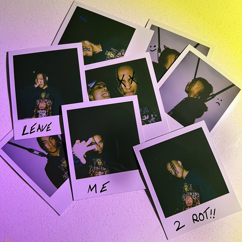 Leave Me 2 Rot!! (prod. Bugz Ronin X Mosaic)