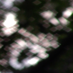 In Lieu of: Prospect Park 7/31