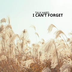 Talk Hard - I Can't Forget (original mix)